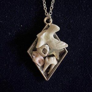 Curios necklace, preserved in resin